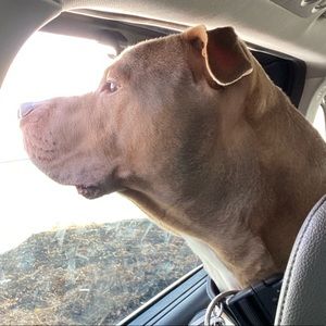 Meet your Posher, Christa